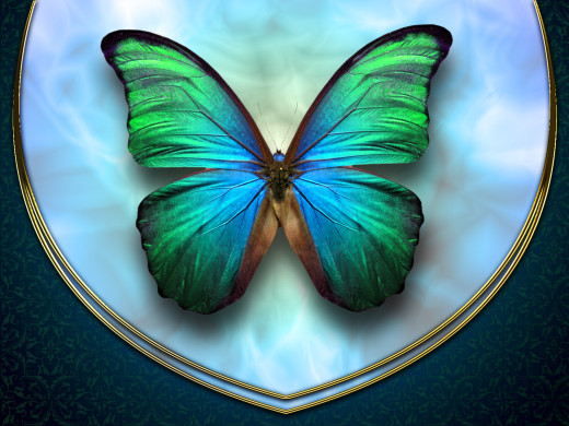 542907 (a): :1600x1200